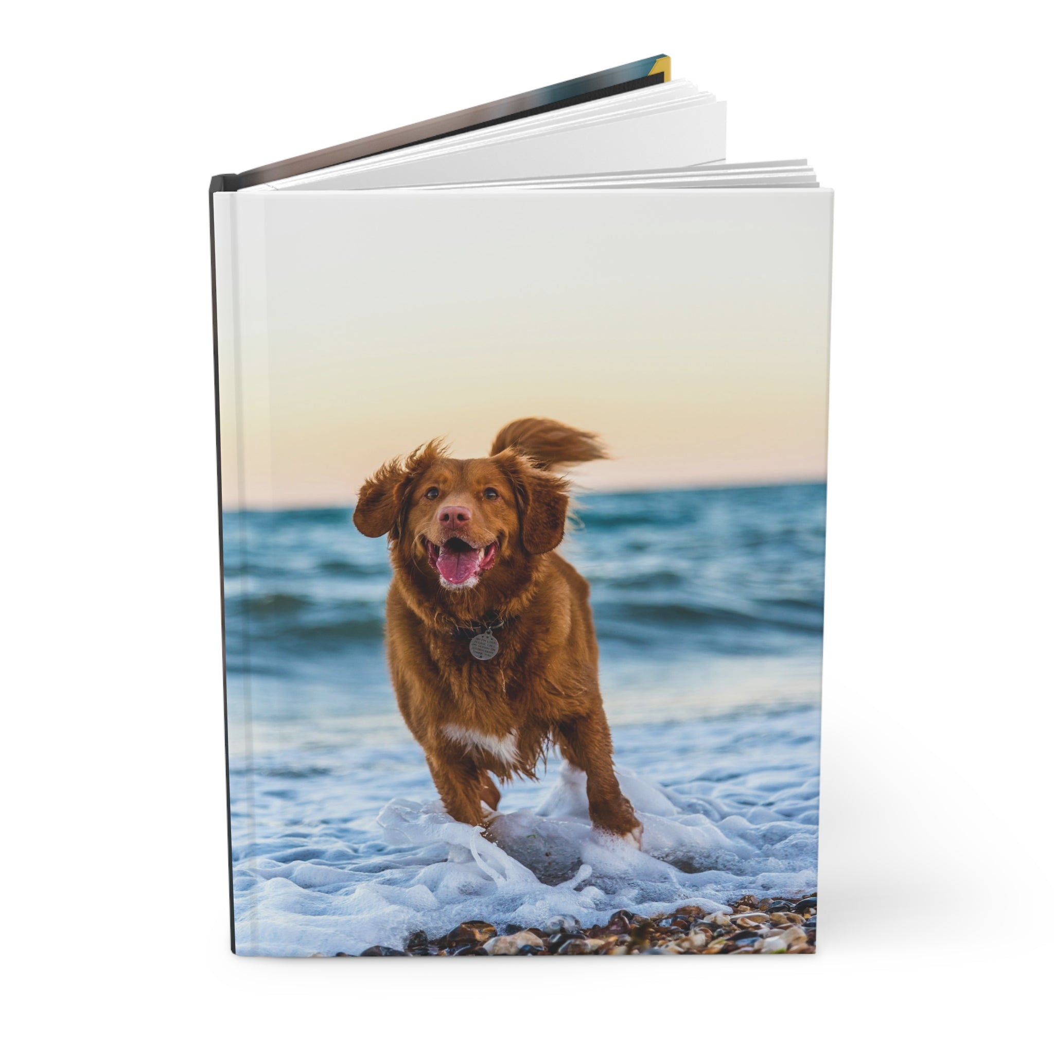 Black and White Cats Hugging Hardcover Journal | Matte Notebook, Orange Background