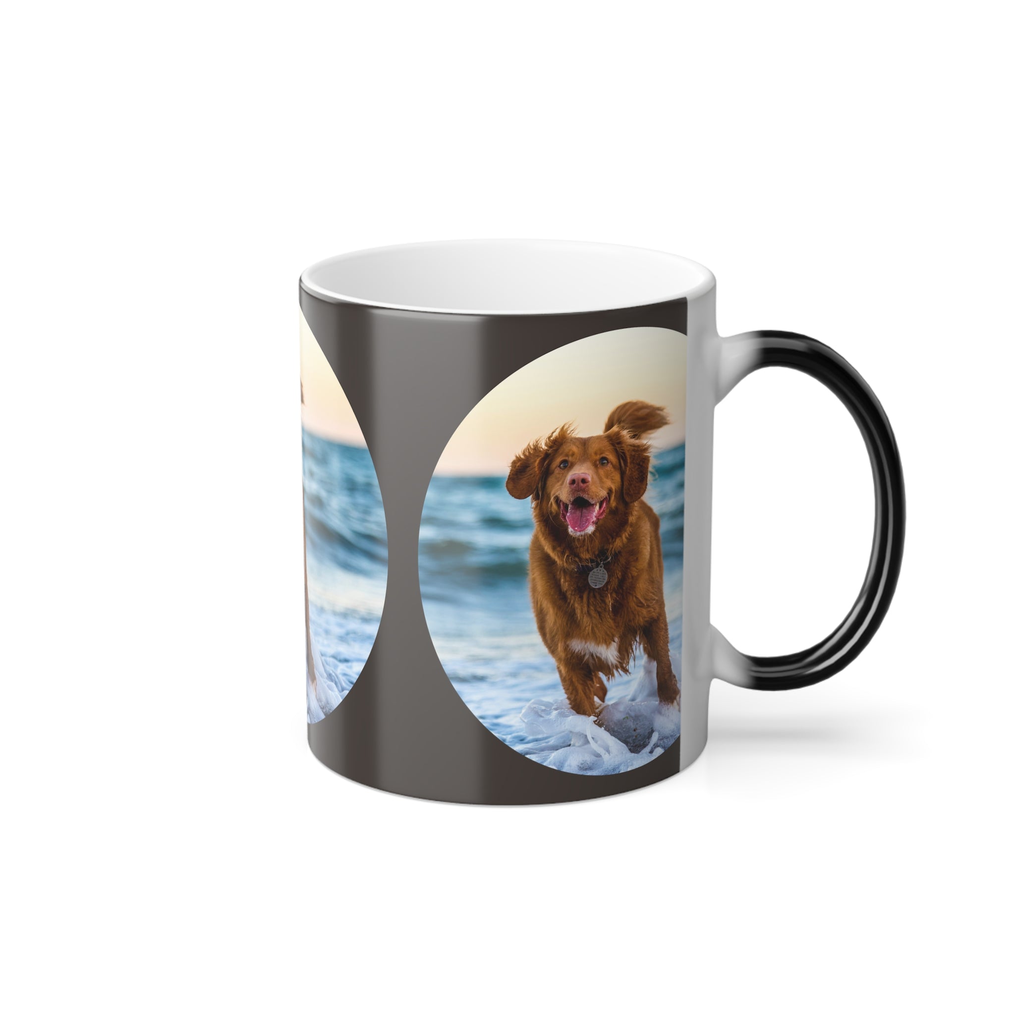 Golden Retriever Beach Photo Mug | Color Morphing Mug