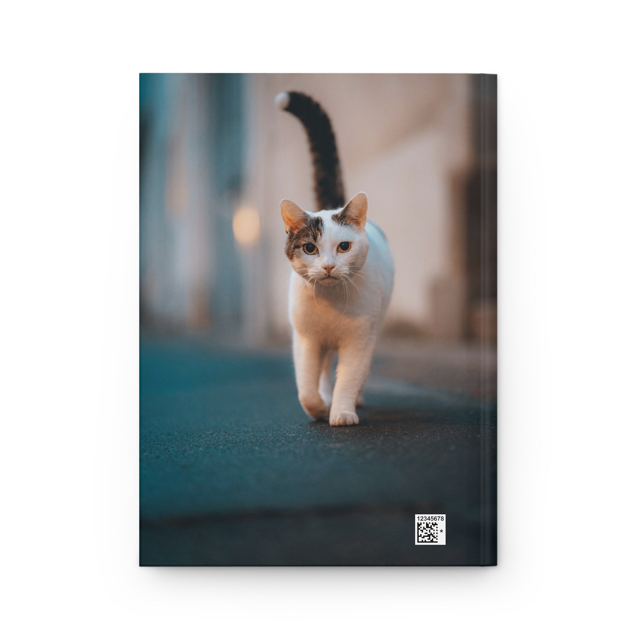 Black and White Cats Hugging Hardcover Journal | Matte Notebook, Orange Background