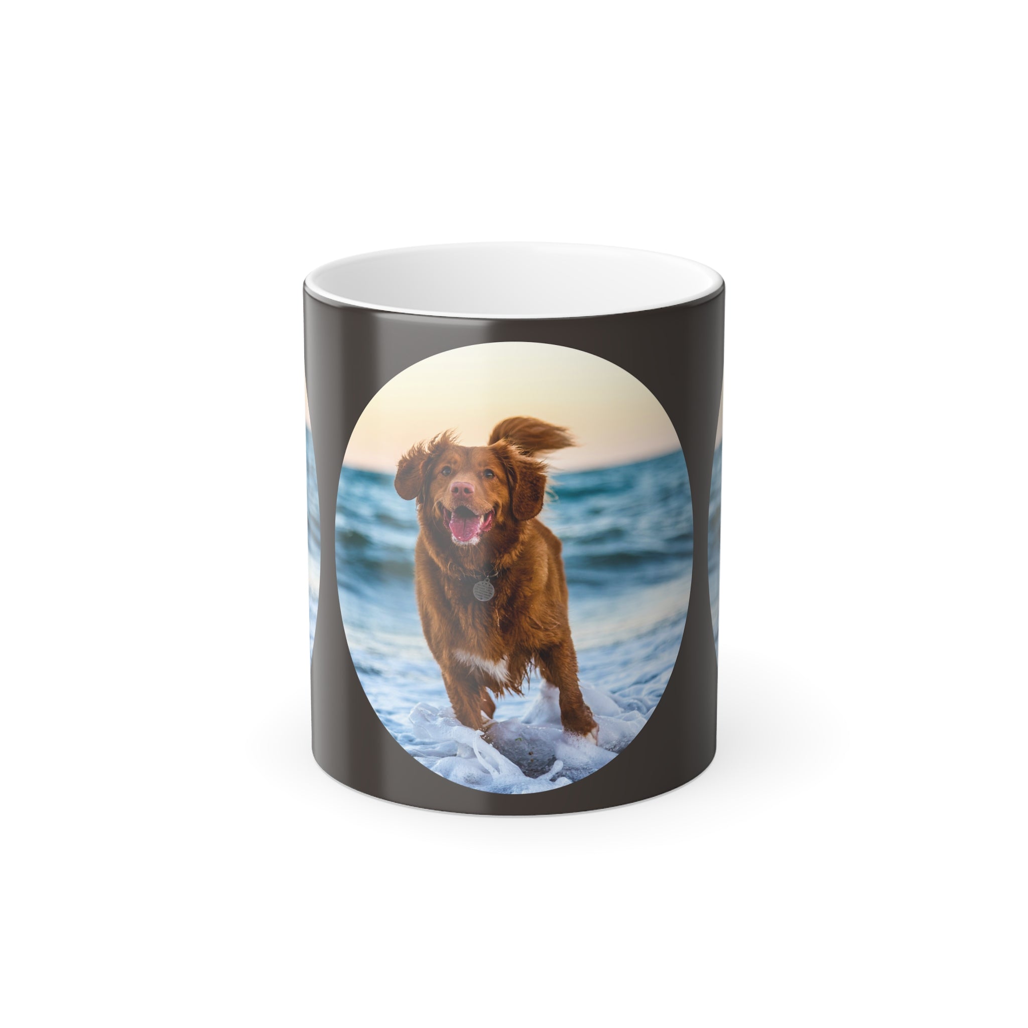 Golden Retriever Beach Photo Mug | Color Morphing Mug